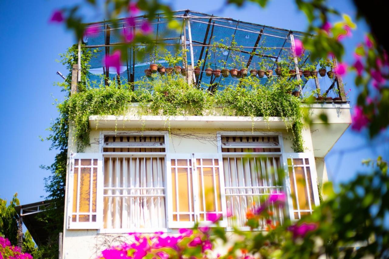 Skybird Homestay Χόι Αν Εξωτερικό φωτογραφία