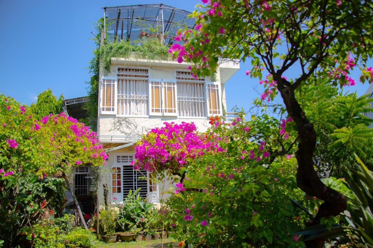 Skybird Homestay Χόι Αν Εξωτερικό φωτογραφία