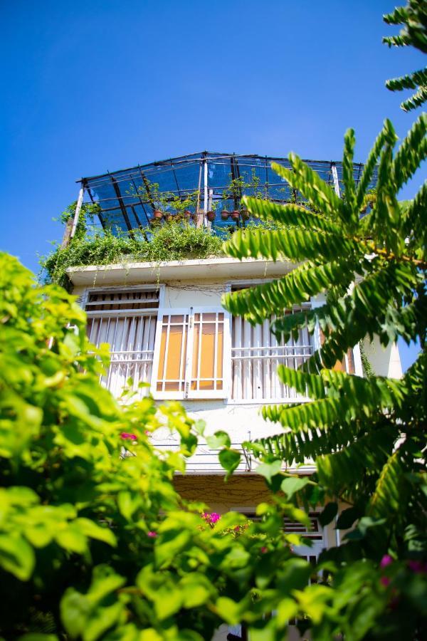 Skybird Homestay Χόι Αν Εξωτερικό φωτογραφία
