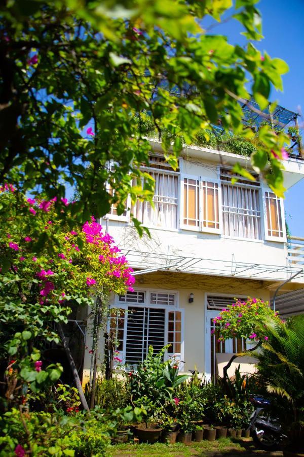 Skybird Homestay Χόι Αν Εξωτερικό φωτογραφία