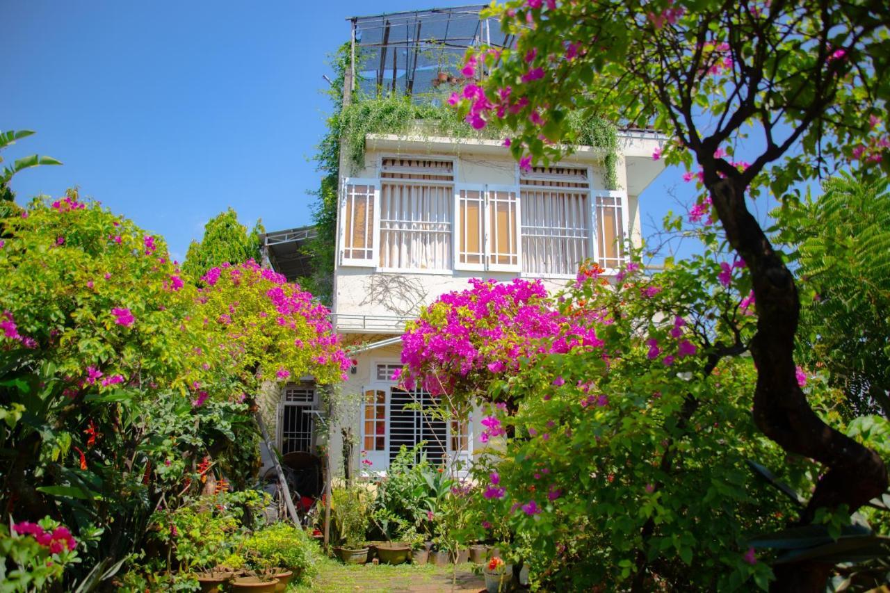 Skybird Homestay Χόι Αν Εξωτερικό φωτογραφία