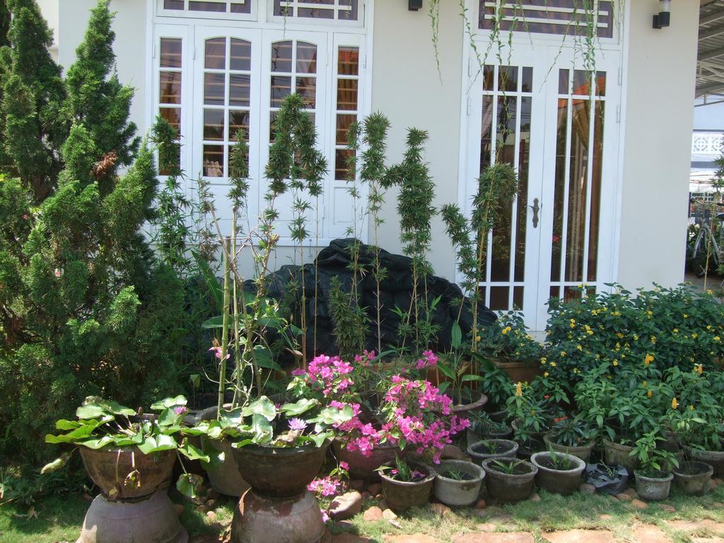 Skybird Homestay Χόι Αν Εξωτερικό φωτογραφία