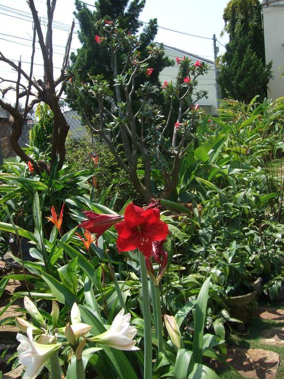 Skybird Homestay Χόι Αν Εξωτερικό φωτογραφία